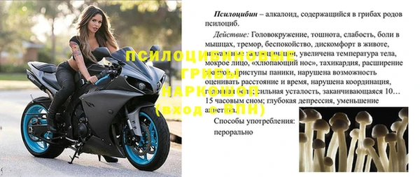 тгк Покачи