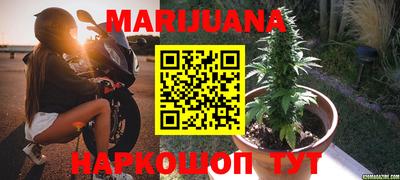 PSILOCYBIN Ирбит
