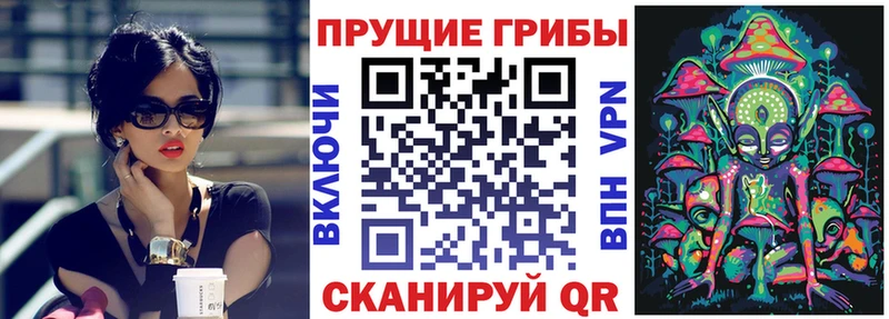 KRAKEN   darknet формула  Приморско-Ахтарск  Псилоцибиновые грибы ЛСД  продажа наркотиков 