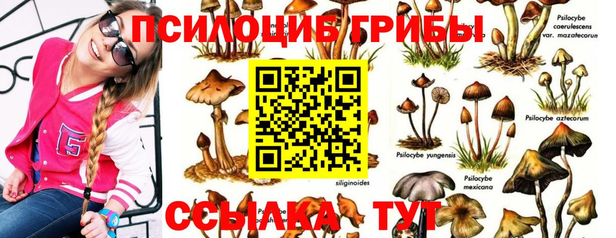 Галлюциногенные грибы прущие грибы  Вход с VPN  Псилоцибиновые грибы мухоморы  Приморско-Ахтарск 