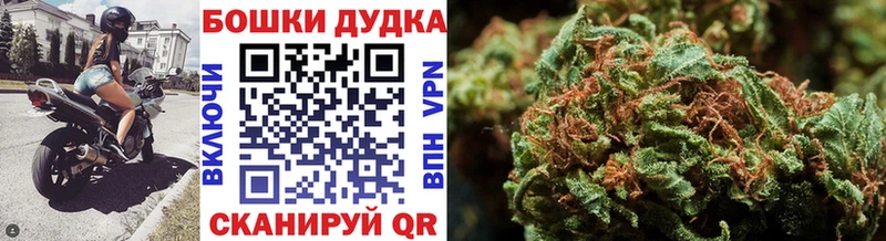 Бошки Шишки Bruce Banner  Приморско-Ахтарск 